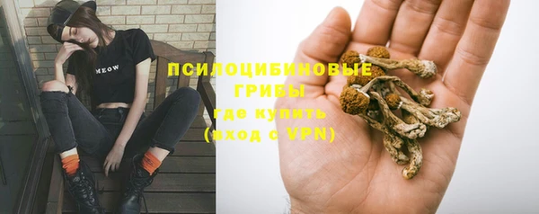 Альфа ПВП Алексин