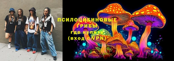 apvp Алзамай