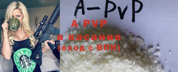 ешки Новодвинск