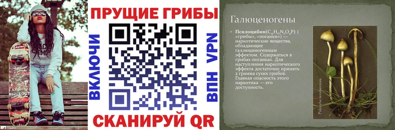 Галлюциногенные грибы GOLDEN TEACHER  ОМГ ОМГ ССЫЛКА  Жуковский 