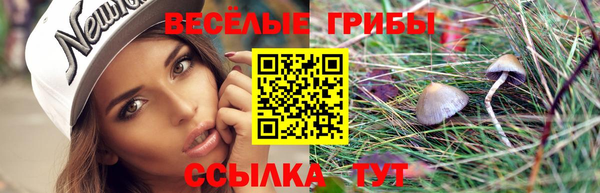 Псилоцибиновые грибы MAGIC MUSHROOMS Жуковский