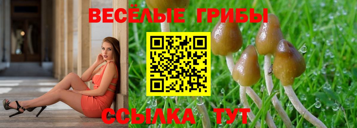 Галлюциногенные грибы Cubensis  Галлюциногенные грибы GOLDEN TEACHER  продажа наркотиков  Вход с VPN  Жуковский 