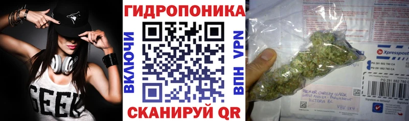 купить наркотик  Жуковский  Конопля план 